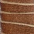cacao sierra.png