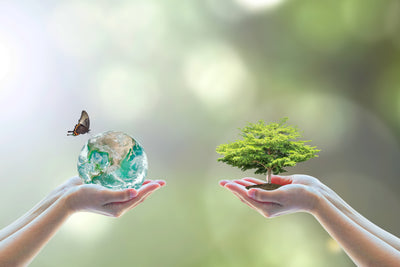 Offset the carbon footprint of shipping your purchase and make a world of difference.